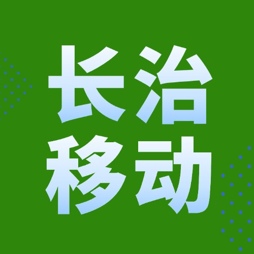 370G+100分钟通话