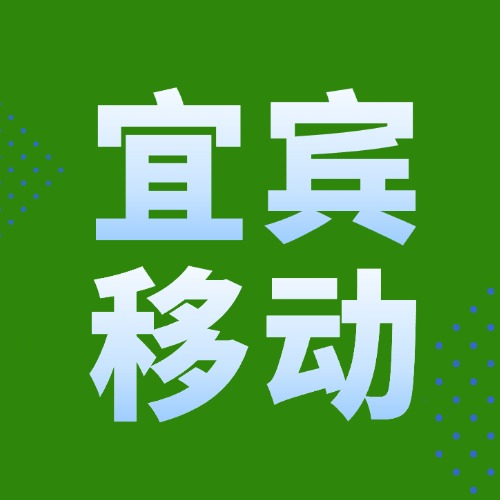 100G+300分钟通话